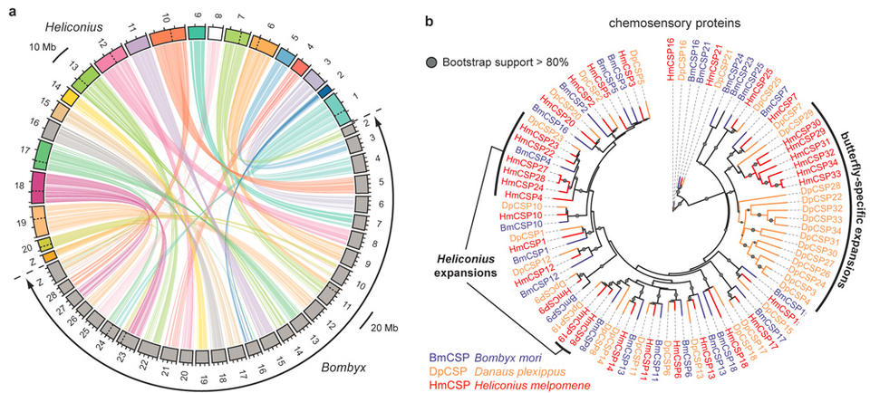 genomics_and_speciation